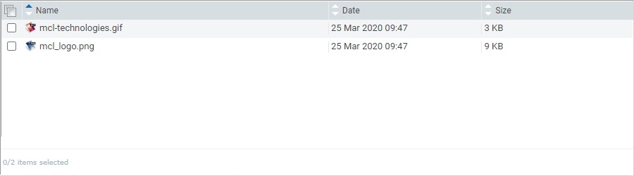 File Repository Content Section