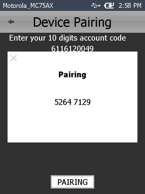 Manual Pairing Windows 07