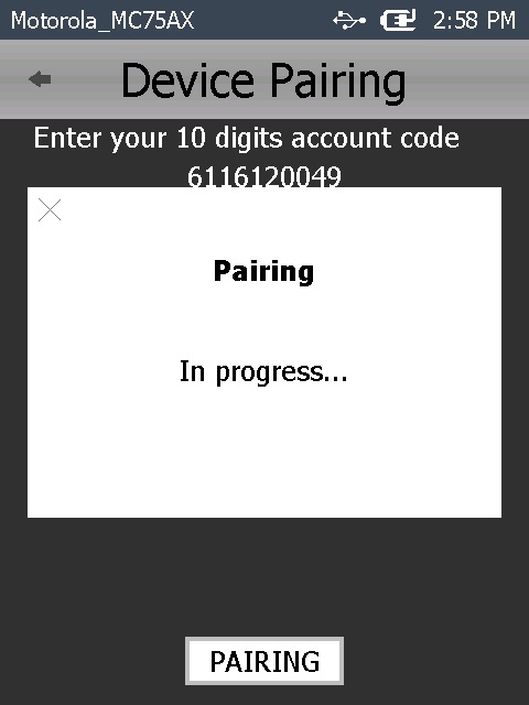 Manual Pairing Windows 06