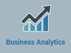 Business Analytics Button